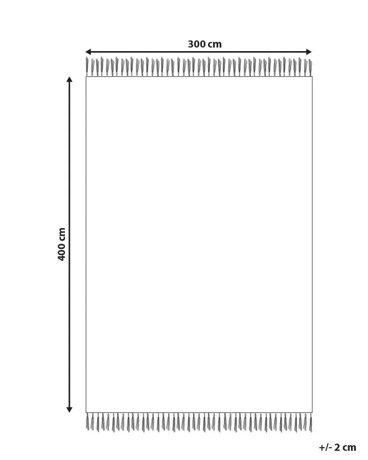 Tapis beige 300 x 400 cm