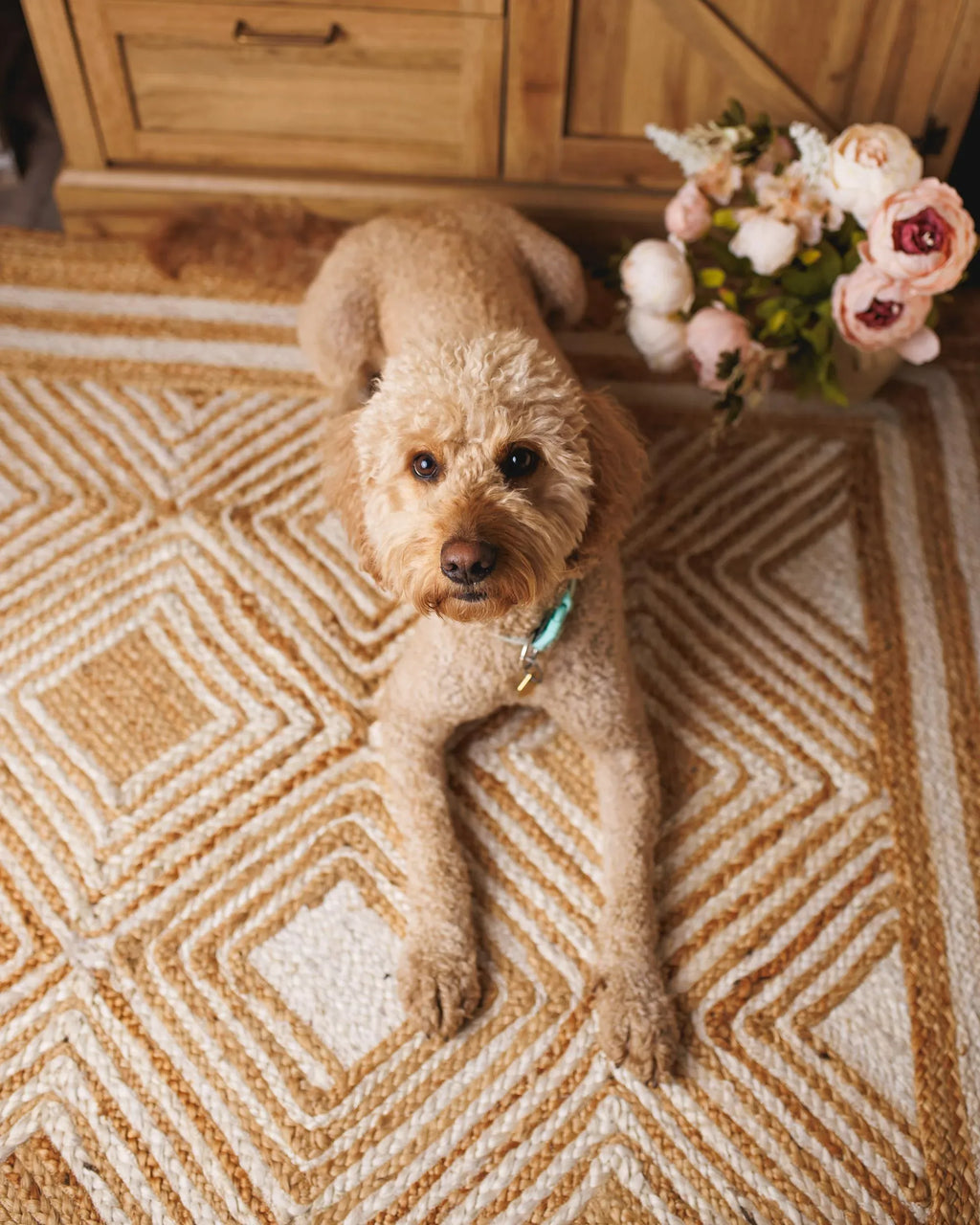 Tapis Beige 200 x 300 cm Jute