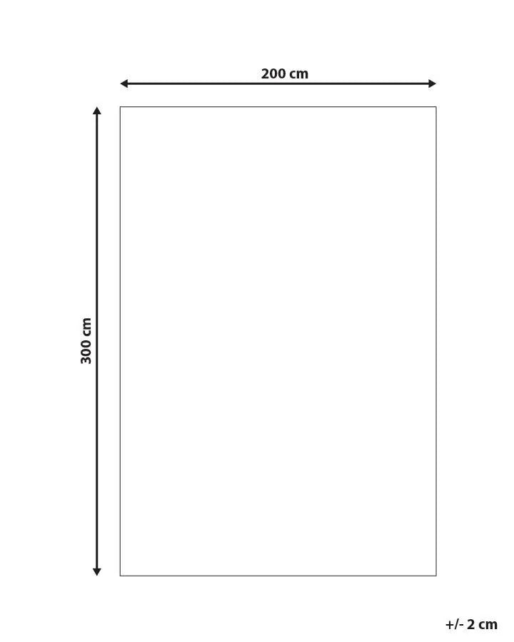Tapis Beige 200 x 300 cm Jute